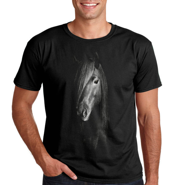 Красив кон - Printo.bg